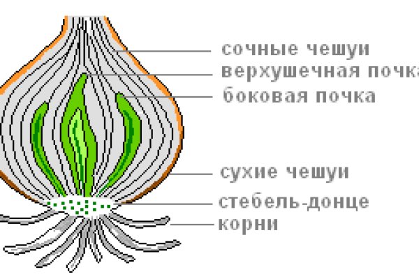 Kraken дарк магазин